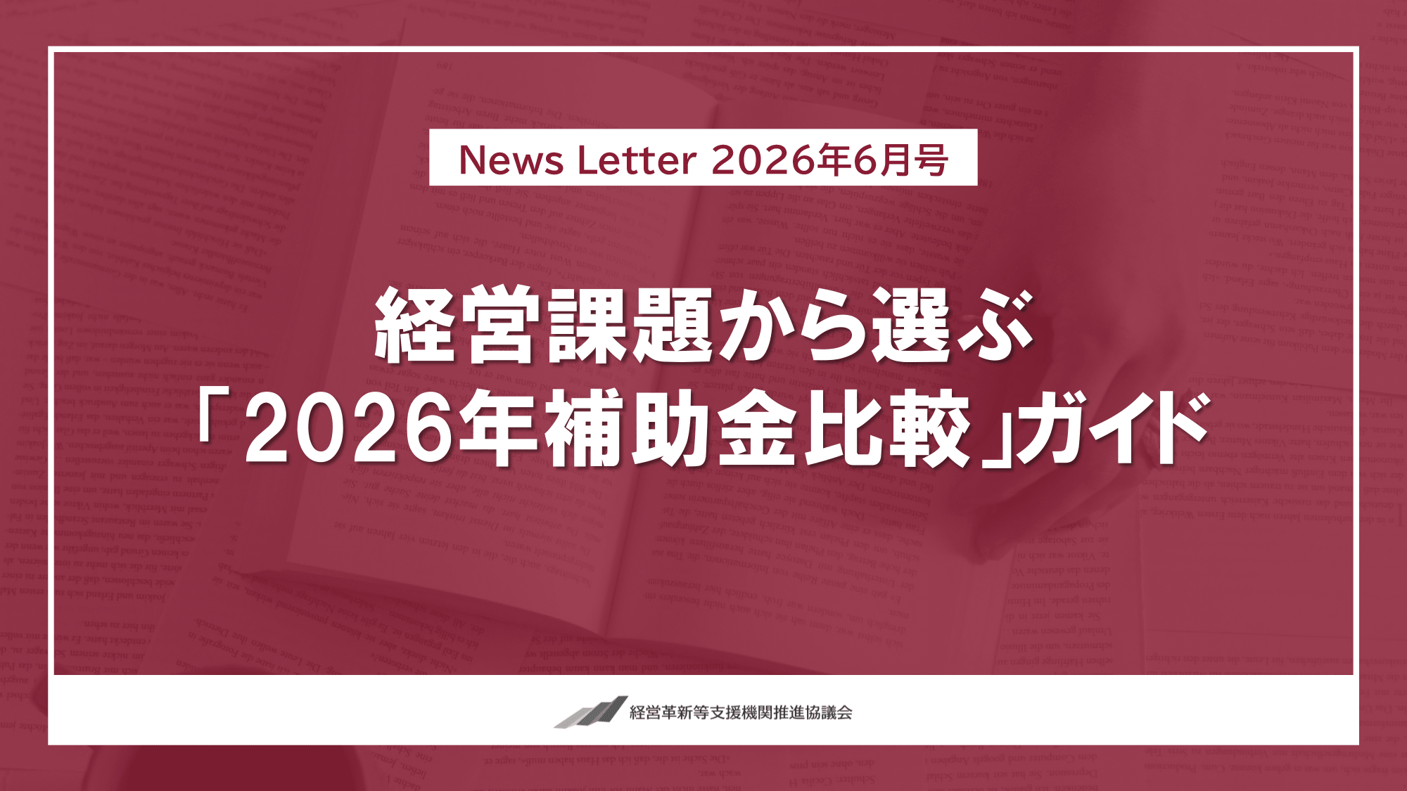 【2026年6月号】NewsLetter動画資料(2026年補助金比較)